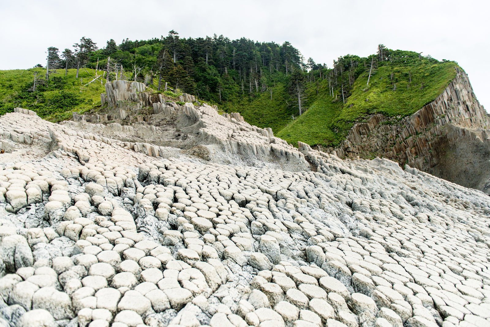 Cape Stolbchaty, Kunashir